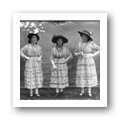 Retrato de grupo feminino