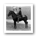 Retrato equestre